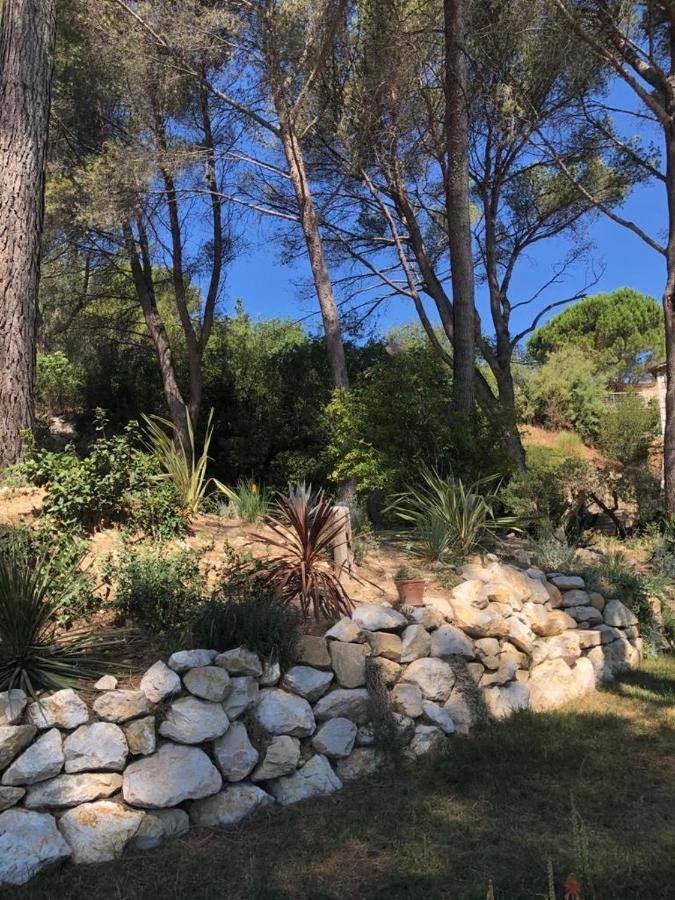 B&B Oasis Des Lavandes - Chambre Coqueliot Villeneuve-lès-Avignon Esterno foto