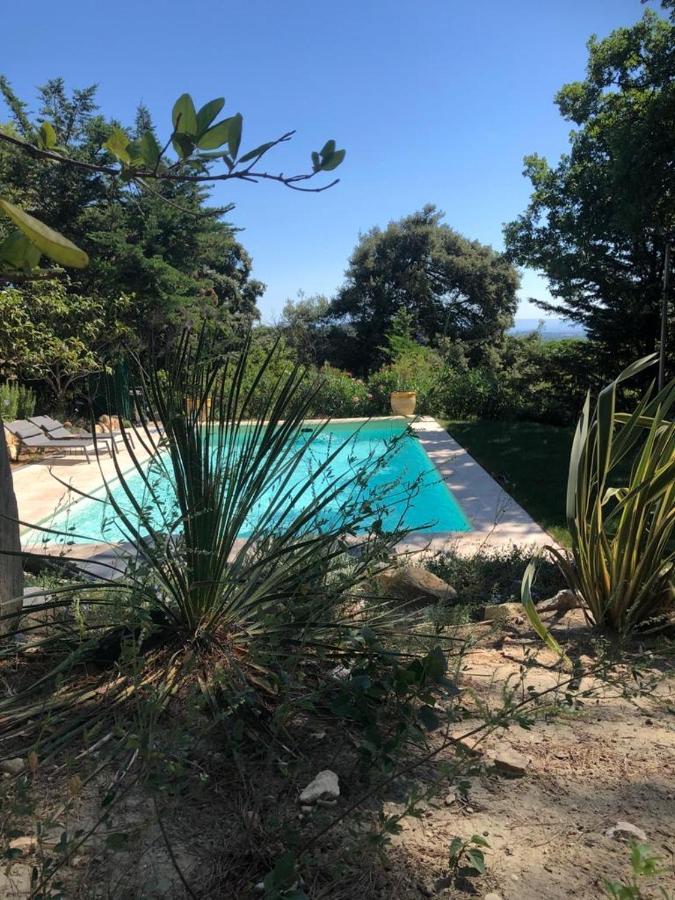 B&B Oasis Des Lavandes - Chambre Coqueliot Villeneuve-lès-Avignon Esterno foto